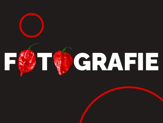 Fotografie
