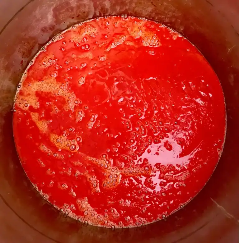 Výroba tekutého chilli z čerstvých papričiek