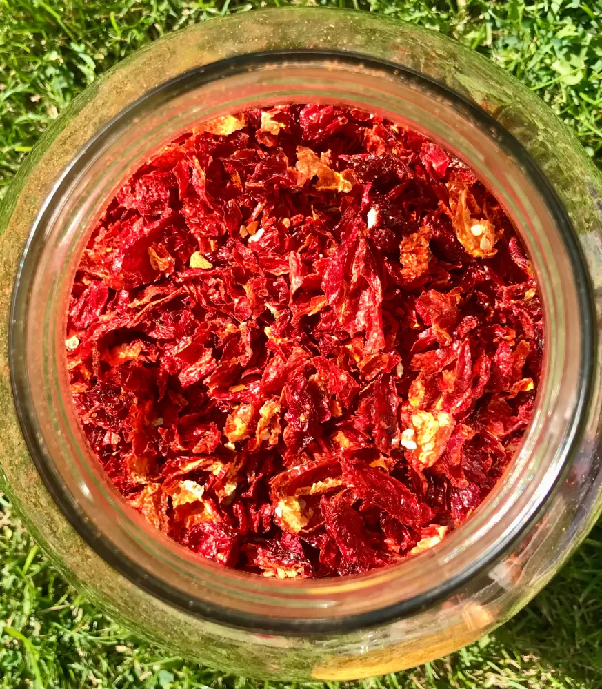susenie chilli pri pestovani