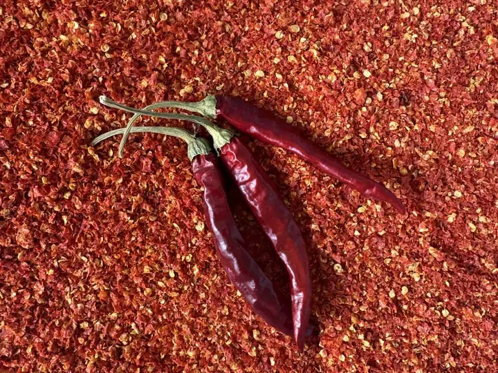 Čo s úrodou: ako uskladniť chilli papričky, nech vydržia celý rok