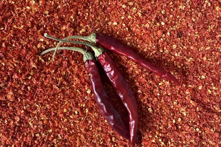 Čo s úrodou: ako uskladniť chilli papričky, nech vydržia celý rok