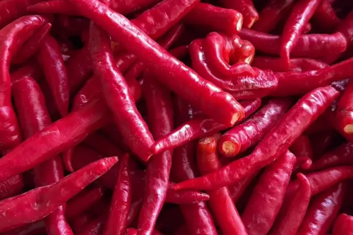 Od papričky po fľaštičku – ako vzniká tekuté chilli u nás